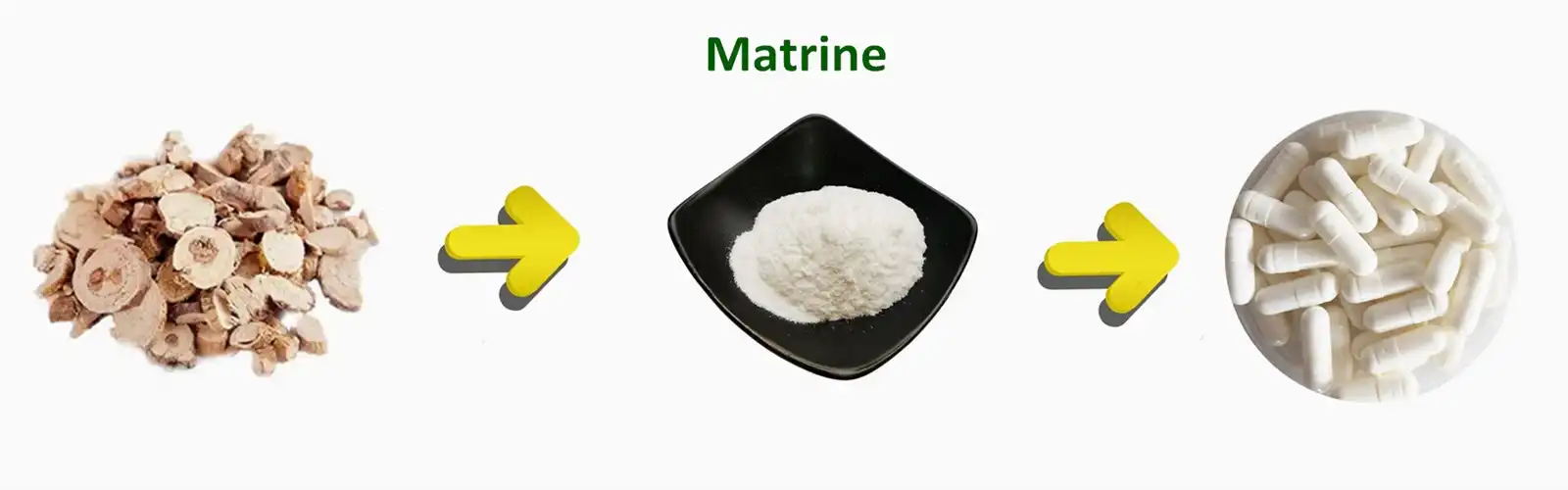 Matrine Powder