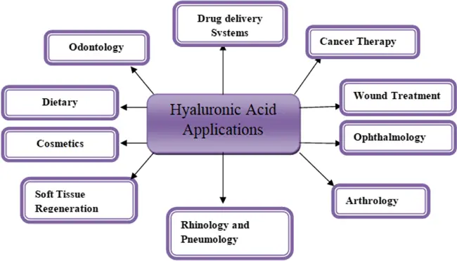 hyaluronic acid application