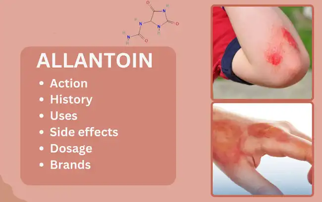 Allantoin