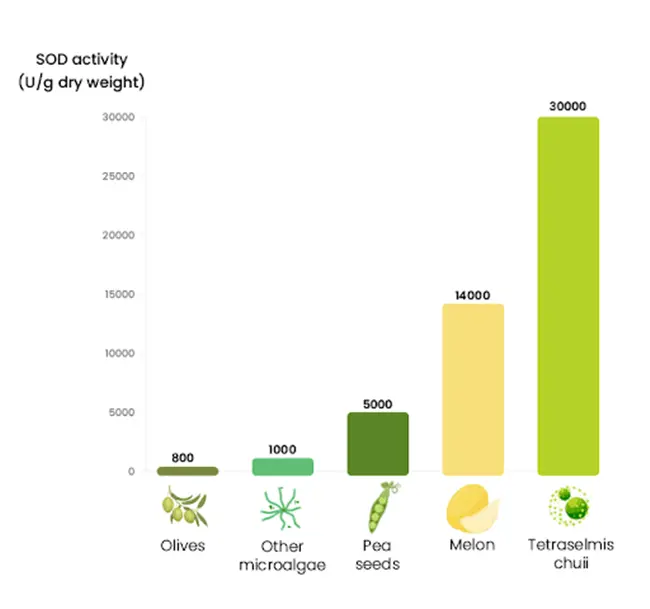 source of Superoxide Dismutase