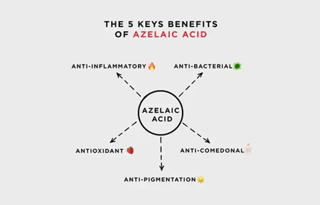 Azelaic acid benefits