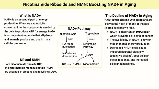 Nicotinamide