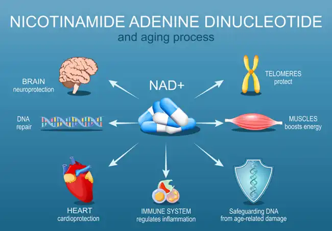 Nicotinamide for skin