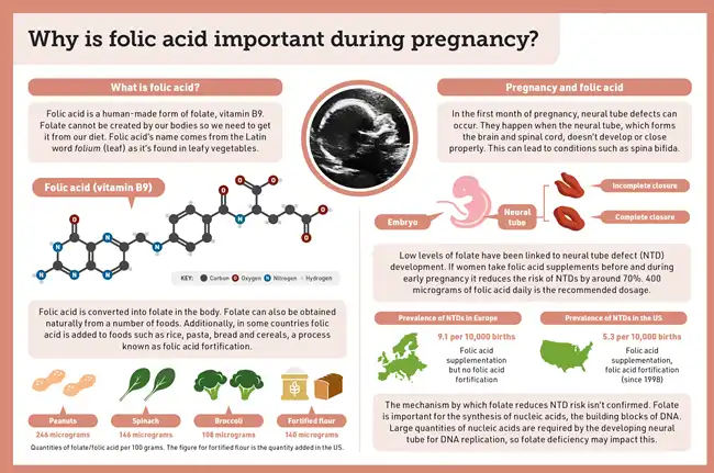 Folic acid powder