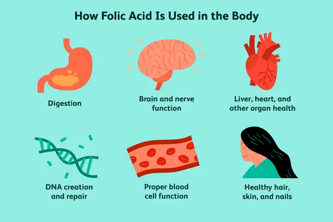 folic acid benefits folic acid benefits