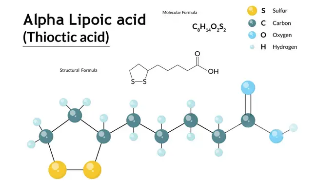 alpha lipoic acid