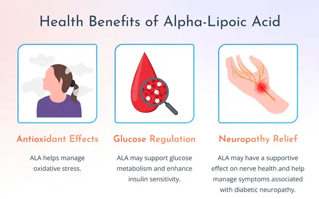 alpha lipoic acid benefits