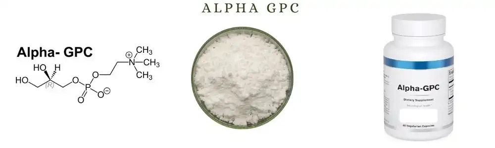 Alpha GPC Powder