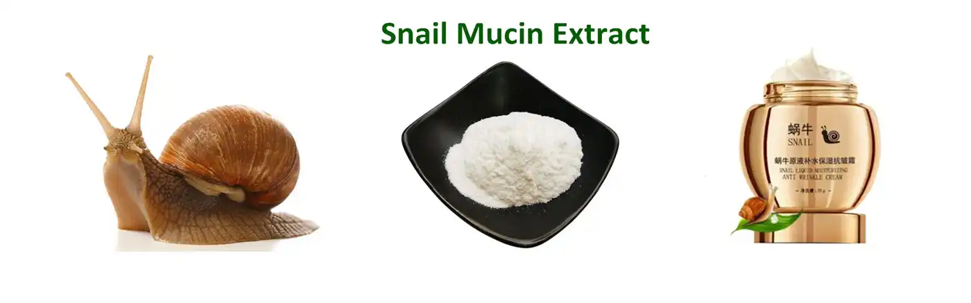 Snail Mucin Extract