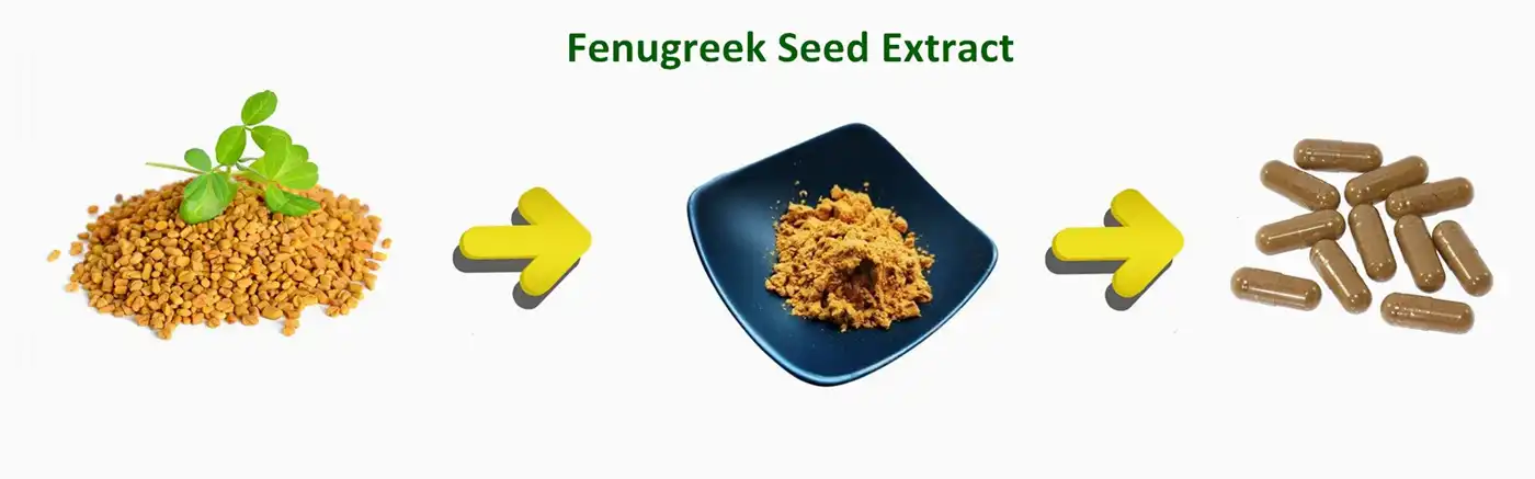 Fenugreek seed extract