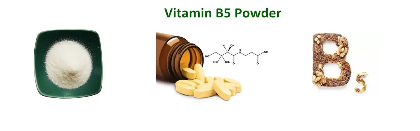 VITAMIN b5 powder