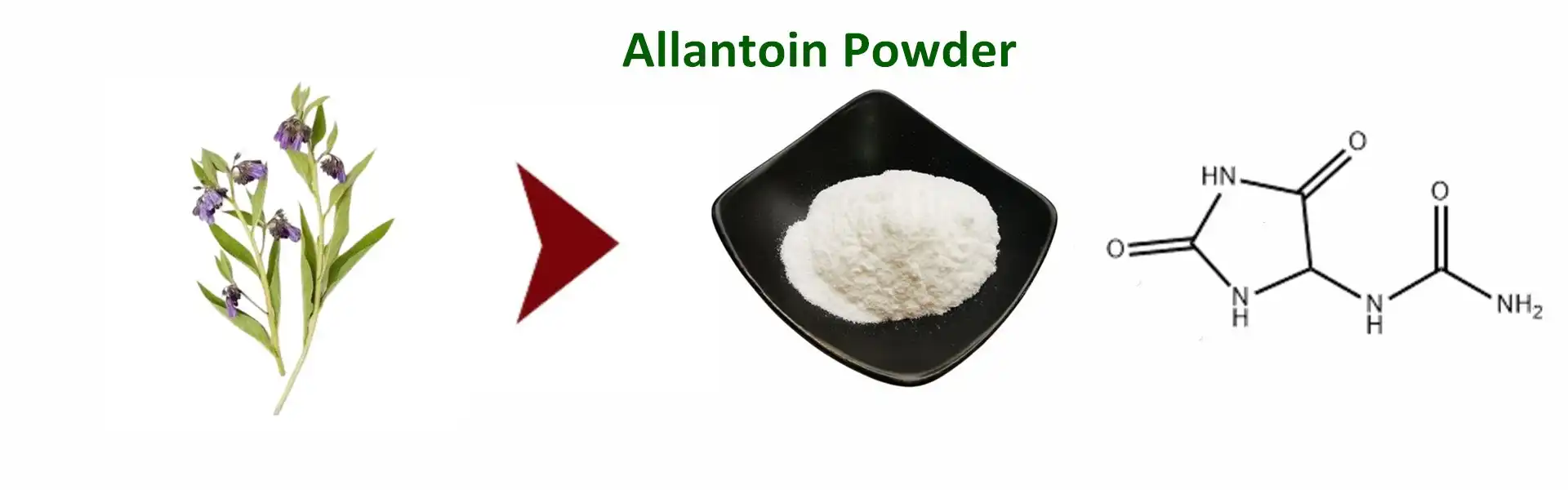 PURE Allantoin powder