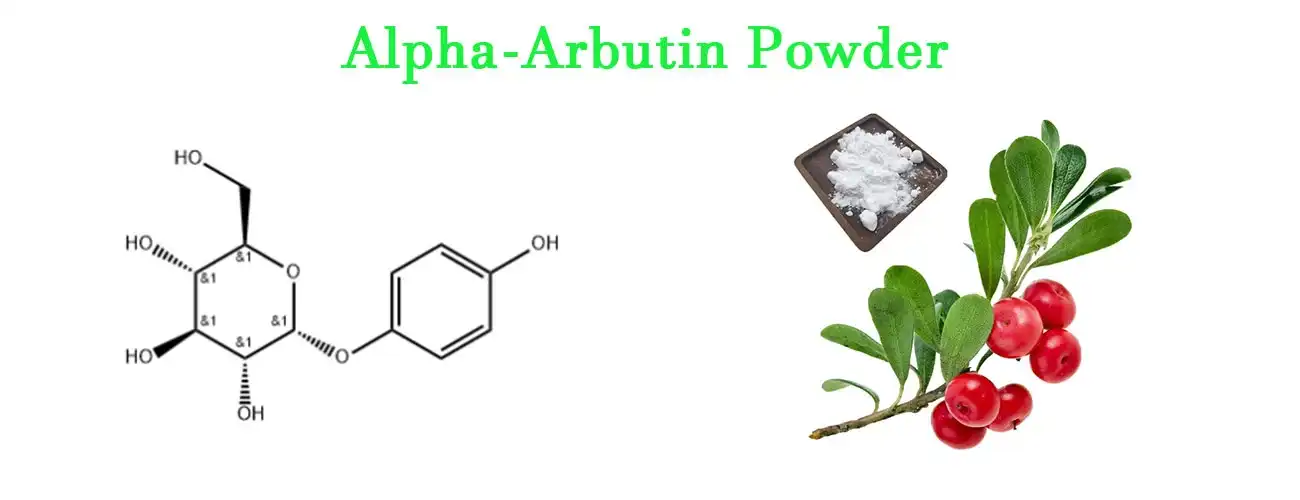 Alpha arbutin Powder