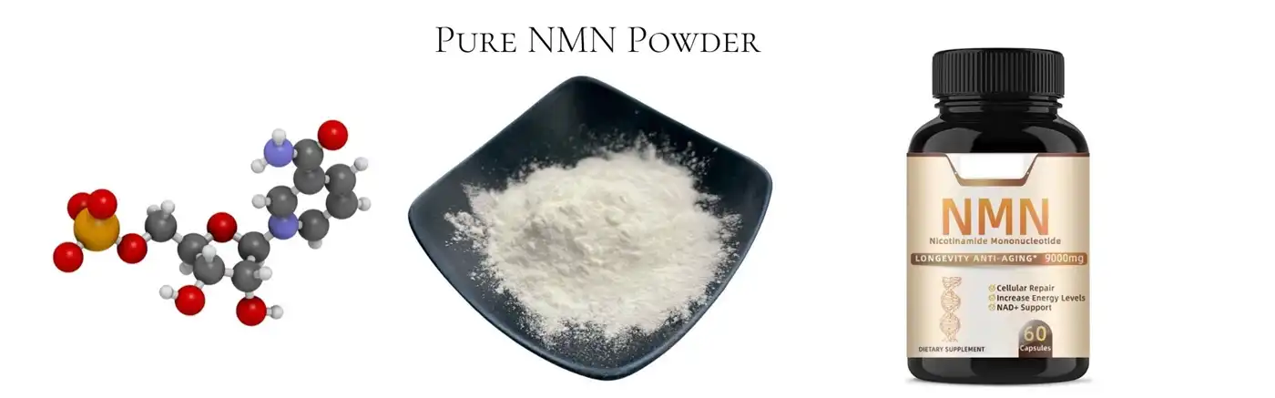 nmn powder
