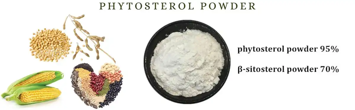 Phytosterol Powder Phytosterol Powder