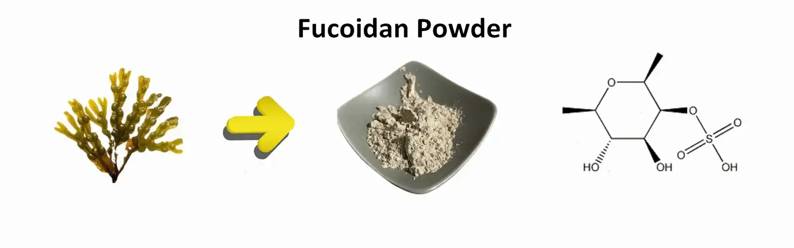 Fucoidan powder