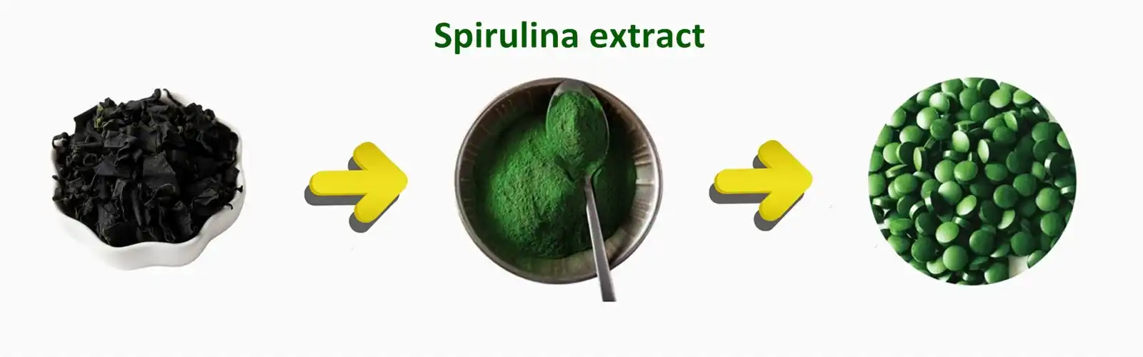 Spirulina Extract powder