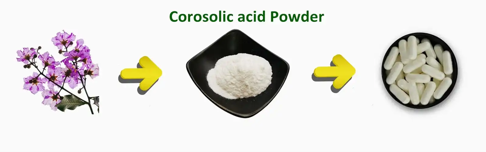 Corosoic acid Powder