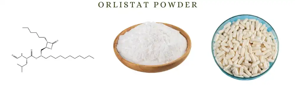 Orlistat Powder