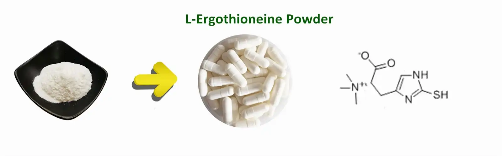 L-Ergothioneine powder