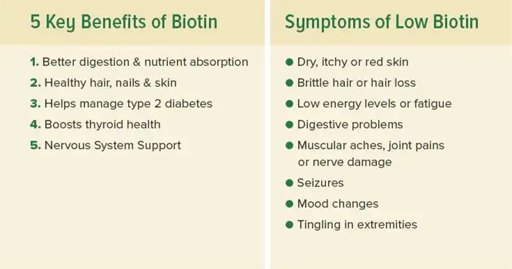 D Biotin benefits