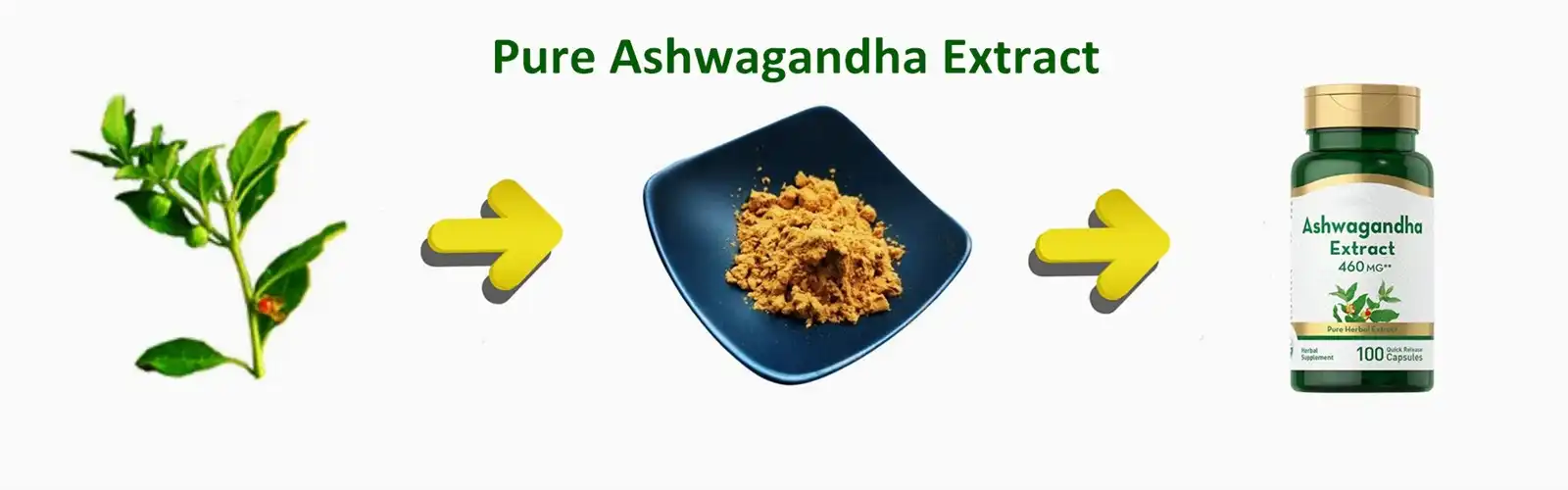 Pure Ashwagandha Extract