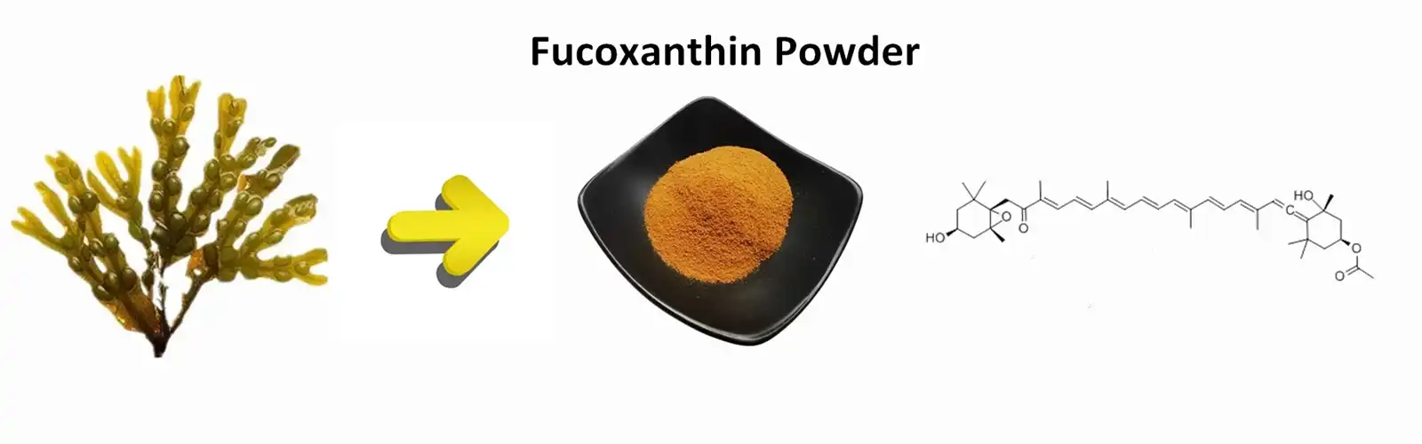 Fucoxanthin Powder