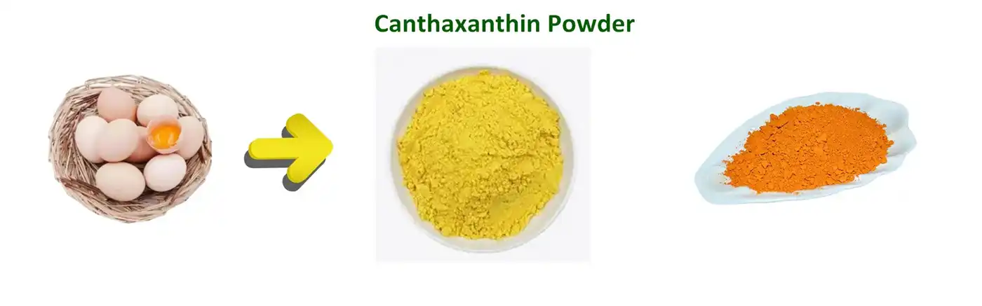 Canthaxanthin Powder