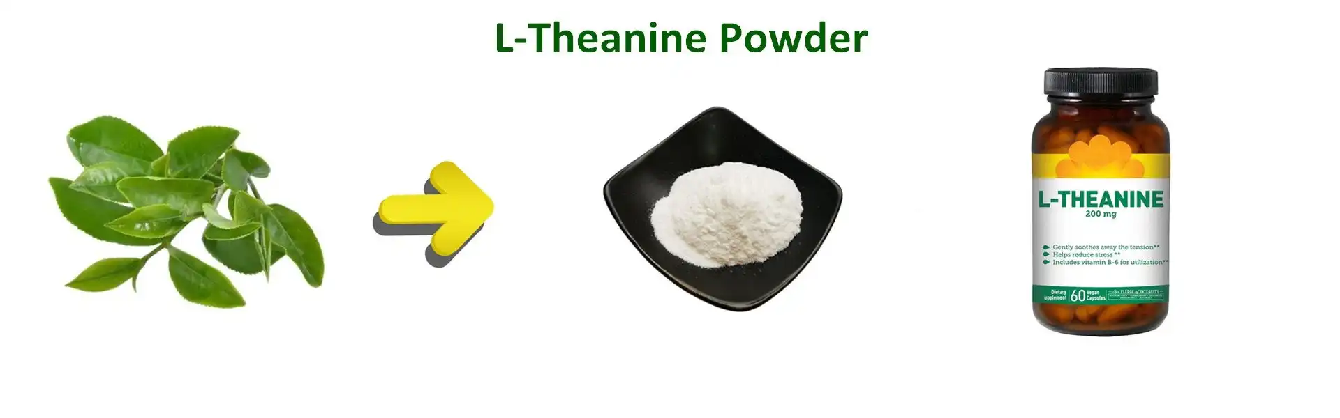 L-Theanine Powder