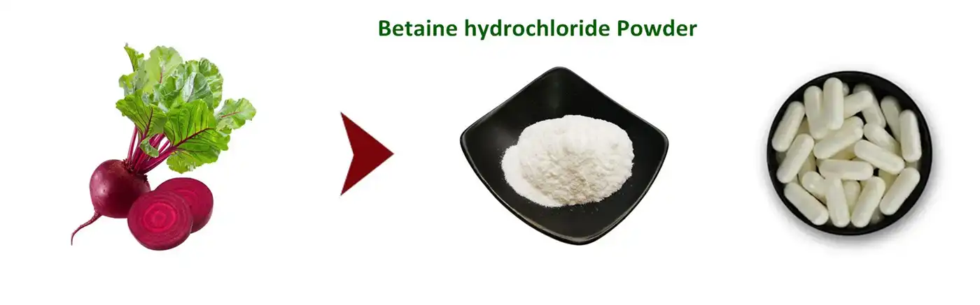 Betaine hydrochloride powder