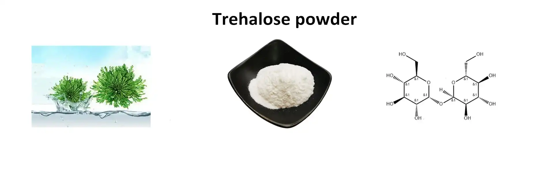 Trehalose Powder