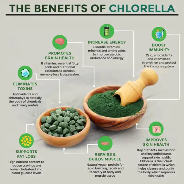 chlorella powder benefits