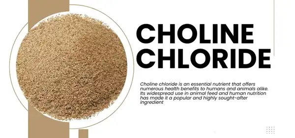 Choline Chloride bulk