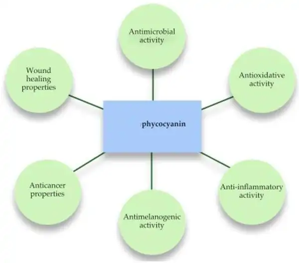 Phycocyanin benefits