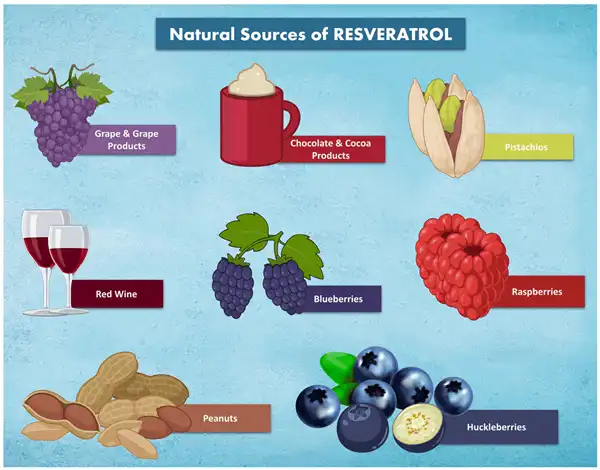 Source of Resveratrol