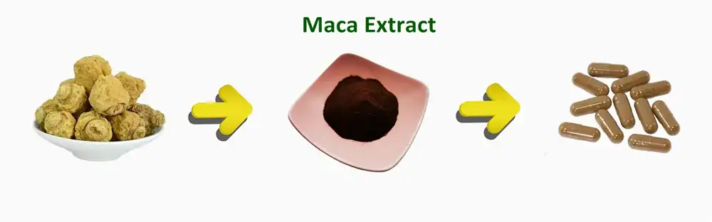 maca extract