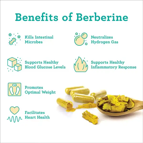 Berberine Hydrochloride benefits