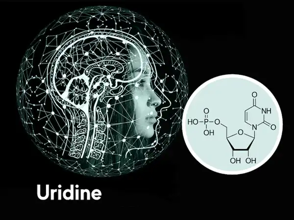 Uridine Uridine