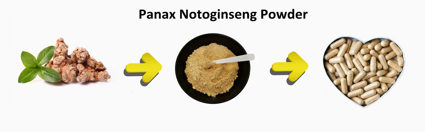 Panax Notoginseng Powder Panax Notoginseng Powder