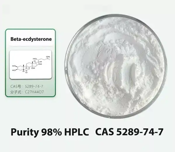 Beta Ecdysterone Bulk Powder