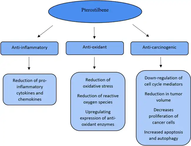 pterostilbene benefits