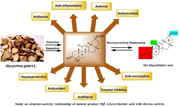 glycyrrhizic acid benefits