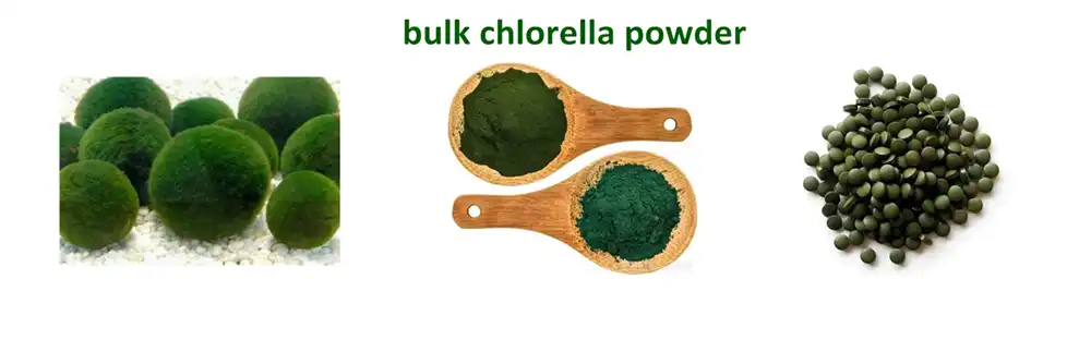 Bulk Chlorella Powder