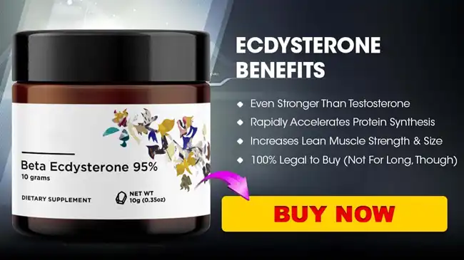 Beta Ecdysterone benefits