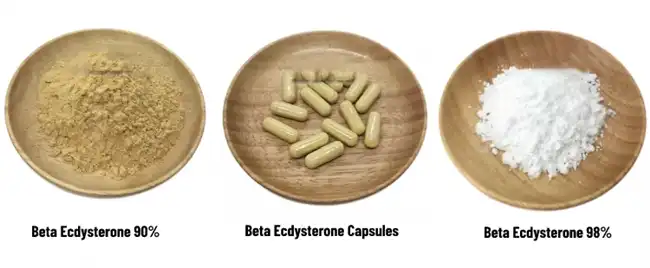 Beta Ecdysterone capsules