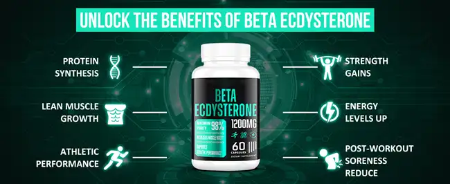 Beta Ecdysterone benefits Beta Ecdysterone benefits