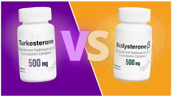 Beta ecdysterone supplements