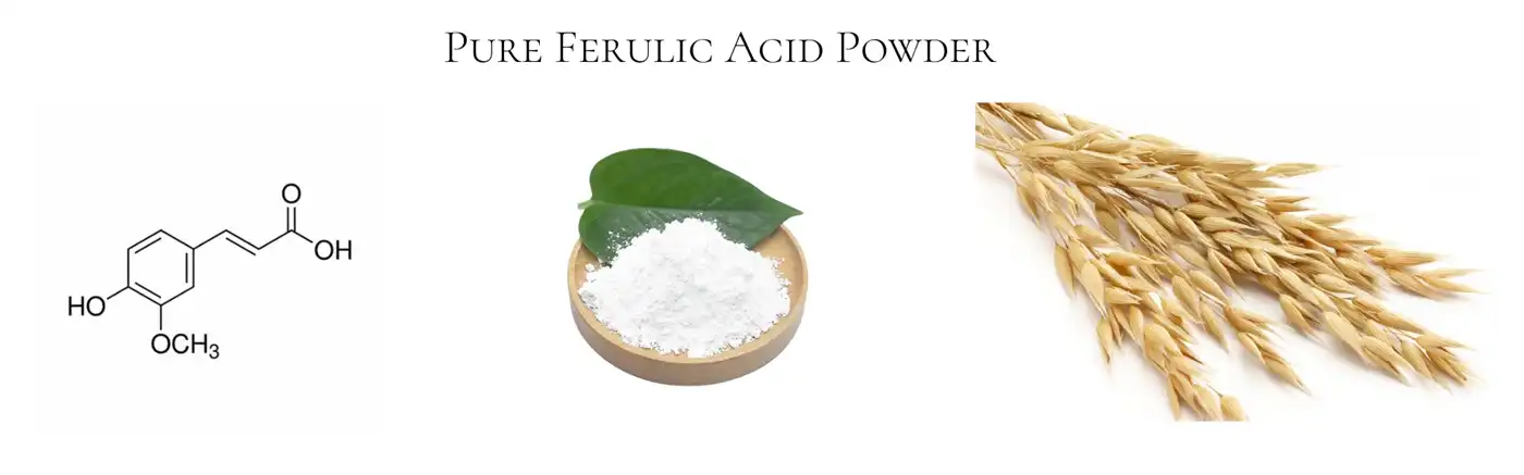 Ferulic Acid Powder