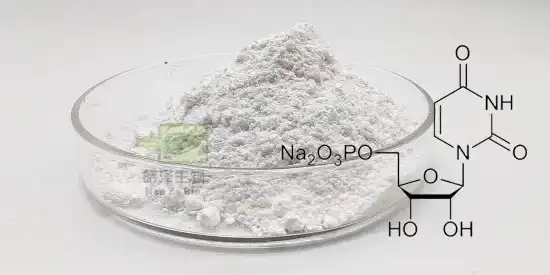 Uridine powder Uridine powder