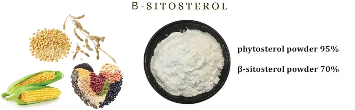 Beta Sitosterol powder
